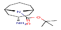 tert-butylendo-3-amino-9-azabicyclo[3,3,1]nonane-9-carboxylate图片