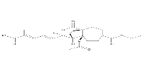 Demethoxydeacetoxypseudolaric acid B analog图片