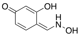 2,4-dihydroxybenzaldehyde oxime图片