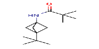 N-{3-tert-butylbicyclo[1,1,1]pentan-1-yl}-2,2-dimethylpropanamide图片