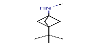 3-tert-butyl-N-methylbicyclo[1,1,1]pentan-1-amine图片