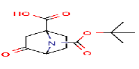 7-tert-butoxycarbonyl-3-oxo-7-azabicyclo[2,2,1]heptane-1-carboxylicacid图片