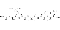 Angiotensin I/II 1-5图片