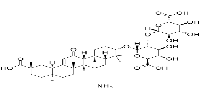 Ammonium Glycyrrhizinate图片