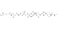 Uty HY Peptide 246-254图片