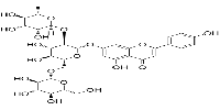 Apigenin-7-O-(2G-rhamnosyl)gentiobioside图片