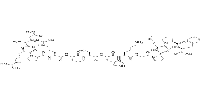 Apelin 13,Endogenous apelin receptor(APJ)ligand图片