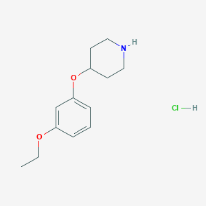 4-(3-Ethoxyphenoxy)piperidine hydrochloride图片