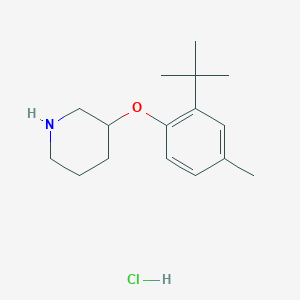 3-[2-(tert-Butyl)-4-methylphenoxy]piperidinehydrochloride图片