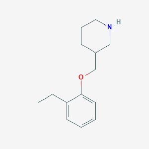 3-[(2-Ethylphenoxy)methyl]piperidine图片
