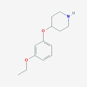 4-(3-Ethoxyphenoxy)piperidine图片