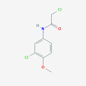 2-chloro-N-(3-chloro-4-methoxyphenyl)acetamide图片