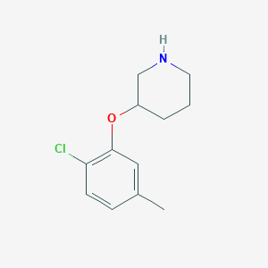 3-(2-chloro-5-methylphenoxy)piperidine图片