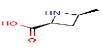 (2S,4S)-4-methylazetidine-2-carboxylicacid图片