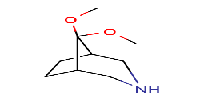 8,8-dimethoxy-3-azabicyclo[3,2,1]octane图片