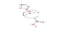 O9-tert-butylO7-methyl3-oxa-9-azabicyclo[3,3,1]nonane-7,9-dicarboxylate图片