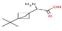 2-amino-2-{3-tert-butylbicyclo[1,1,1]pentan-1-yl}aceticacid图片