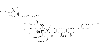 6-Feruloylspinosin图片