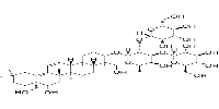 Buddlejasaponin IVb图片
