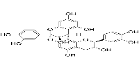 Proanthocyanidin A4图片