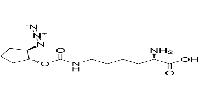 ACPK图片