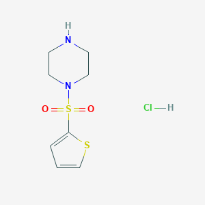 1-(2-thienylsulfonyl)piperazine hydrochloride图片