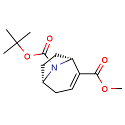 8-tert-butyl2-methyl(1R,5S)-8-azabicyclo[3,2,1]oct-2-ene-2,8-dicarboxylate图片