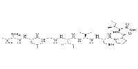 HPV16 E7(86-93)图片