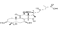 20-Hydroxyganoderic Acid G图片