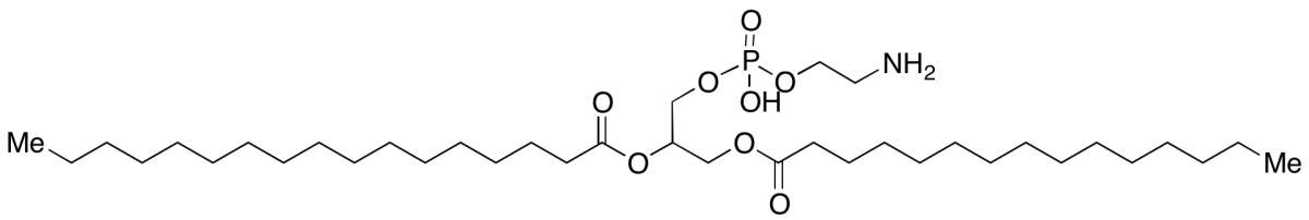 1,2-Dipalmitoyl-rac-glycero-3-phosphoethanolamine图片