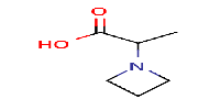 2-(azetidin-1-yl)propanoicacid图片