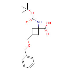 3-[(benzyloxy)methyl]-1-{[(tert-butoxy)carbonyl]amino}cyclobutane-1-carboxylicacid图片