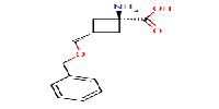 trans-1-amino-3-[(benzyloxy)methyl]cyclobutane-1-carboxylicacid图片