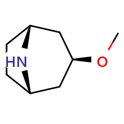 exo-3-methoxy-8-azabicyclo[3,2,1]octane图片