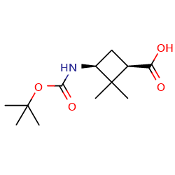 (1R,3S)-3-(tert-butoxycarbonylamino)-2,2-dimethyl-cyclobutanecarboxylicacid图片