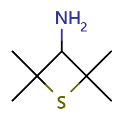 3-amino-2,2,4,4-tetramethylthietane图片