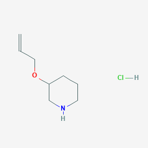 3-(Allyloxy)piperidine Hydrochloride图片