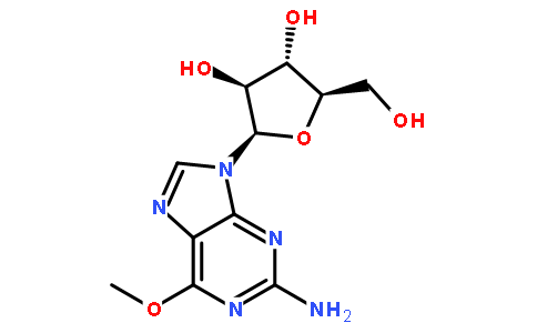 奈拉滨图片