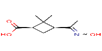 (1R,3S)-3-[1-(hydroxyimino)ethyl]-2,2-dimethylcyclobutane-1-carboxylicacid图片