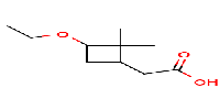 2-(3-ethoxy-2,2-dimethylcyclobutyl)aceticacid图片