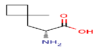 (2R)-2-amino-3-(1-methylcyclobutyl)propanoicacid图片