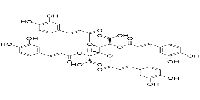 2,3,4,5-Tetracaffeoyl-D-Glucaric acid图片