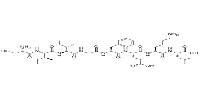 OVA G4 peptide图片