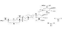 Diammonium Glycyrrhizinate图片