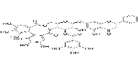 Pinocembrin 7-O-[3''-O-galloyl-4'',6''-hexahydroxydiphenoyl]-β-D-glucoside图片
