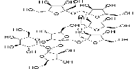 Fructo-oligosaccharide DP7/GF6图片