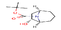 tert-butyl(1R,5S,6R)-rel-6-hydroxy-8-azabicyclo[3,2,1]octane-8-carboxylate图片