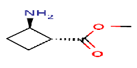 methyltrans-2-aminocyclobutanecarboxylate图片