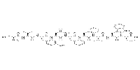 mTRP-2 180-188图片