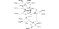 1,1,1,1-Kestohexaose图片